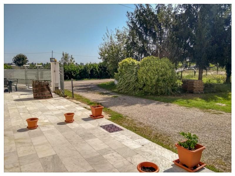 Elizabeth B&B Lentigione ภายนอก รูปภาพ